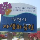 외씨 버선길 6코스( 영양 전통 시장, 영양 객주)-영양 연결구간길 34.15km 2016년 5월 1일 이미지