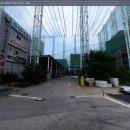 별망초교 사거리 이미지