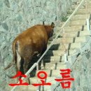 외도초등학교 병설유치원 이미지