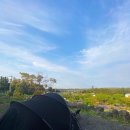 벨리타캠핑장 이미지