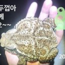 독금농장 네이버블로그