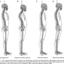 바른자세운동센터 세움 이미지