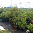 아리농장 이미지