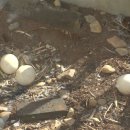 강인한농장 이미지