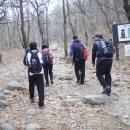 밤골야영장 이미지