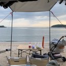 딱지애견샵 | 초보 캠핑러의 실미도 유원지 애견동반 차박 후기