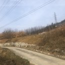 환수 태양광발전소 이미지