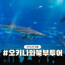 우리수족관 | 오키나와 북부투어 할인 버스 츄라우미 수족관 후기 총정리