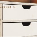 나무꼴