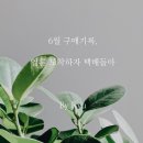 미드나잇소흘 | [쇼핑 후기] 6월 구매 기록