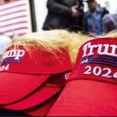 레드웨이브 이미지