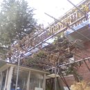 법성주유소 이미지