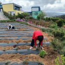 망상농장 이미지