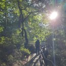 한송공인중개사사무소 이미지