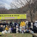 봉화강아지마을 이미지