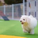 더포레펜션 이미지