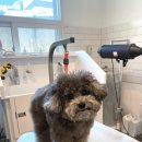 홍글몽글 이미지