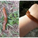 이형재농장 이미지