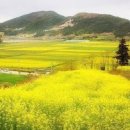 갈바람 편으로 띄우는 편지 이미지