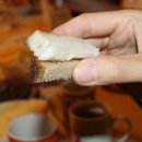 바로돼지 티스토리