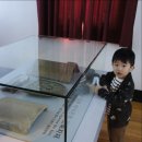 군산통운(주) 이미지