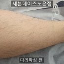 세븐노은 이미지