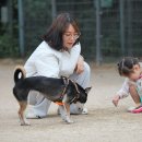 팅커벨 이미지