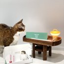 알파랩스 | 고양이 스트레스 지수 검사 포옹 랩스 Labs 후기