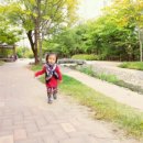 서연컬렉션 이미지