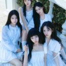 더질러(THE 질러) dispatch