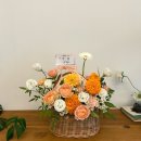 디자인베이트리