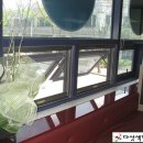 패밀리 당구장 이미지