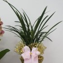 춘천미술관 이미지