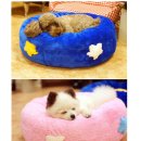 베이비몽 이미지