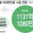 OECD 37개국 다하는데 우리만…비대면진료 문턱 높은 韓 이미지