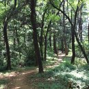 동해한옥펜션 이미지