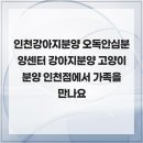 오독안심분양센터 강아지분양 고양이분양 인천점 | 인천강아지분양 오독안심분양센터 강아지분양 고양이분양 인천점에서 가족을 만나요