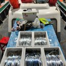 목포바지선포인트선상 이미지