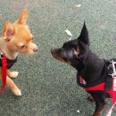 자매의하루 이미지