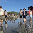 해남군-11 이미지