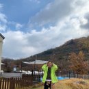 포독스1 이미지