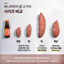 베니실제 | 대한민국농수산 해남 꿀고구마 베니하루카 후기