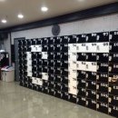 크로스핏 핏불 이미지