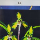 스마트폰응용교육지도사(2급)양성과정 | 경남생태농업학교 도시농업전문가 양성과정 수료식