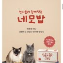 밥뭉치 | 우루룽스튜디오 네모밥 솔직후기 고양이화식 반려묘영양식 유투버김메주님 추천화식