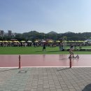 바이킹푸드