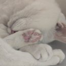 [26년의 7월 (1)] 오늘 아침은 잠이 좀 부족하내. . .