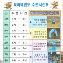 경희대 태비태권도 이미지