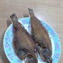 생생울산참가자미