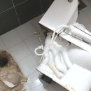 안양-안양-안양-514 이미지